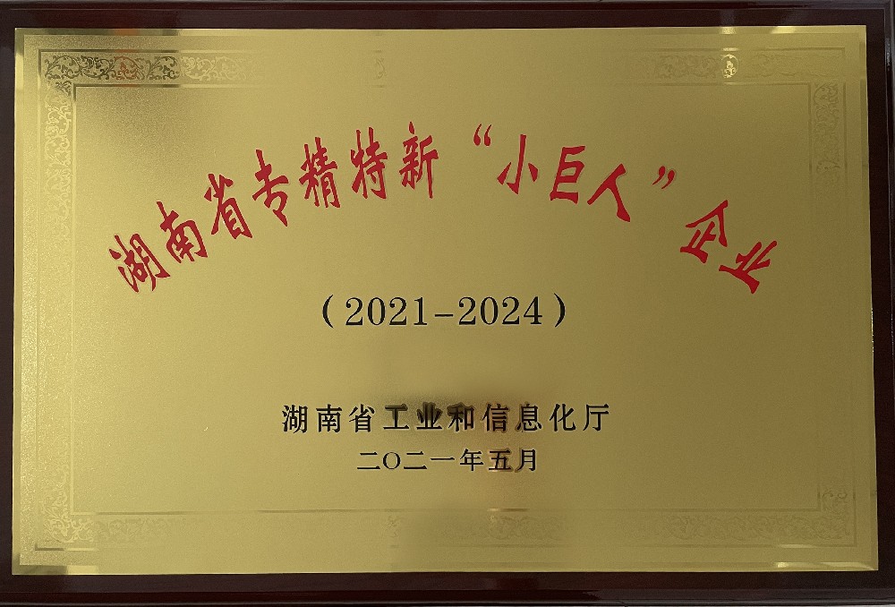 头号玩家游戏网站湖南省专精特精小巨人